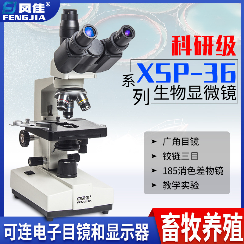 凤佳专业光学显微镜XSP-36系列高清畜牧养殖显微镜科学实验