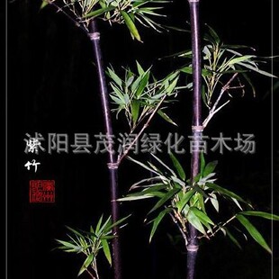 ͥԺ�@�־G����ľ���� �������ɫ��ľ����ֲ��@�־�