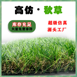 ���̇��������ƺͥԺ�و���Ƥ�ٲݸ���ٲ��׃��@������b�չ�d