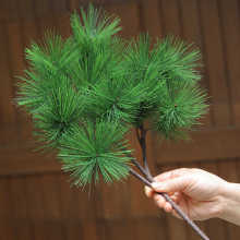 �Rβ��ᘺ����~ӭ����������b��͕��ɘ�֦����@�־G�����~