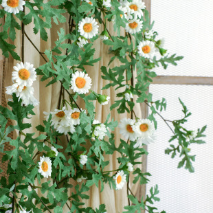 �r�ջ��ٷ����ٗl�x���������S���l�҃ȼ��b�ˇ�ٻ��߷���