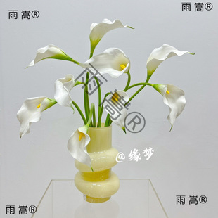 EVA�R��ɏ�ָ�ܛ�z���ٻ��R��ɏ �Ҿ��b廨��c�b��b