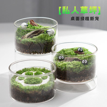 苔藓微景观生态瓶DIY桌面盆栽办公室客厅懒人绿植摆件