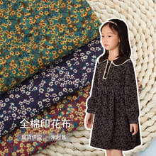 �F؛�D÷ˮ�{ӡӡ������ �ﶬ�黨���� �r���޷��r�bѝ�b�ﲼ����