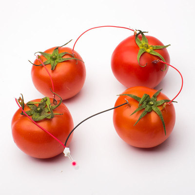 DIY自制水果电池发电实验 锌铜片土豆科技小制作发明仪器物理材料