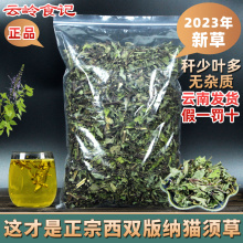 包邮云南西双版纳猫须草500克 别名猫须公降酸草肾茶化石草材