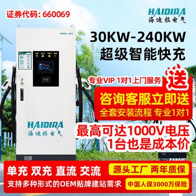 30/60/80/120kw新能源电动汽车直流充电桩双枪商用380v定制快充|ms