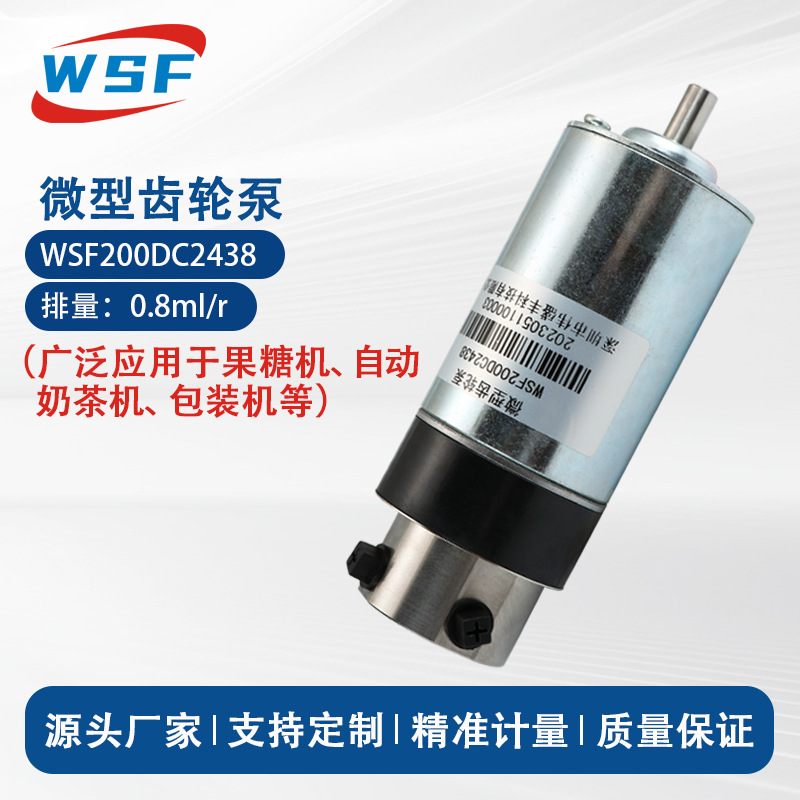 食品级果糖机齿轮泵饮料机不锈钢泵耐腐蚀高精度灌装微型计量泵