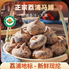 块茎类;速冻果蔬类;根菜类