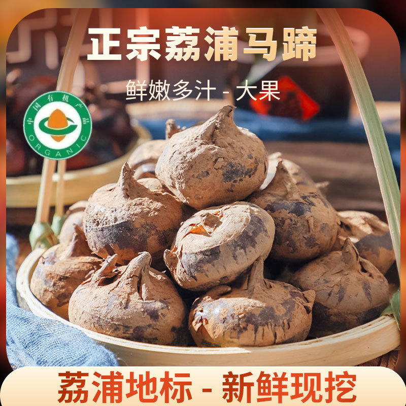 Freshly Dug Water Chestnuts Are Directly Sold Wholesale from Guangxi Lipu Water Chestnuts Grown by Farmers