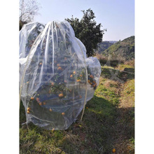 ���ܾGֲ�����^����������Ĥ��ֲ�ﶬ����������ľ�绨�ݱ��o��