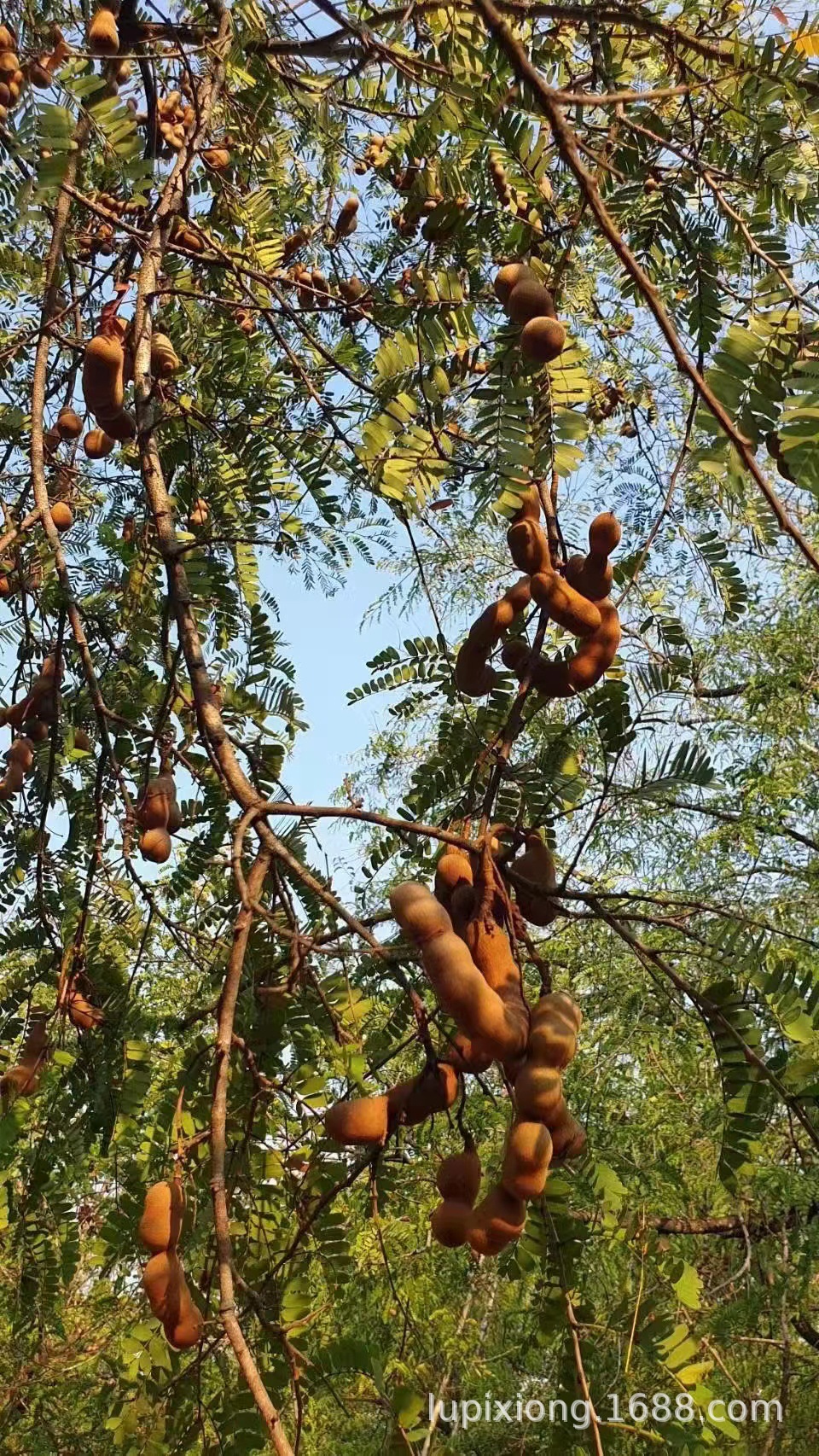 微信图片_20230425120443