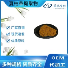 夏枯草提取物  10:1 /20/30/50：1 夏枯草粉  原料粉末代加工