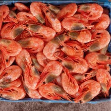 �����^���O���r�^�Ѹ��Ѽ��ô�����mҰ���������r���r���r