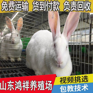 ���������Bֳ���F؛�����������ó��ۃr����������m�N�ô������l