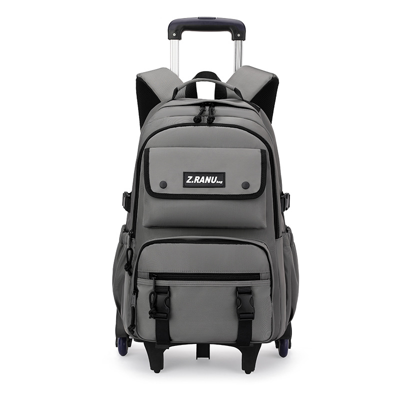 Mochila de tracción para niños de peces naturales para estudiantes de escuela primaria, mochila de escaleras para estudiantes de escuela secundaria de grado 3 - 6