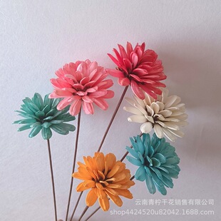 �ֹ����ӻ��ɻ����������Ӛ��ֹ�DIY��ˇ��ļҾ��b��ϏS����