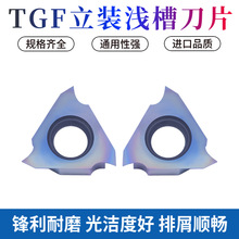 �߲ʴ�����b�\�۵�Ƭ ���P䓿��ɲ� TGF32R 100/150/200/250/300