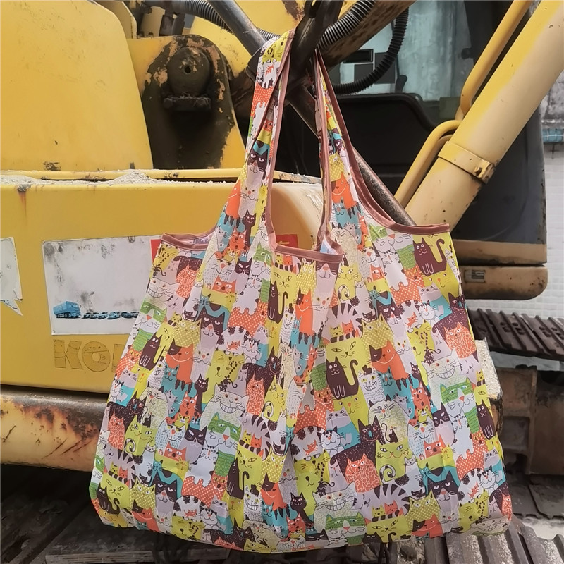 노란 페르시아 고양이