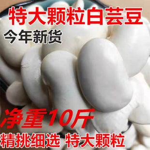 ����خa�ش��w����ܿ��5��ⶹ�r���Ԯa��tܿ���t�����Ҝ�ԭ��