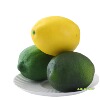 Realistic lemon fruit jewelry from foam, photography props, Birthday gift, wholesale