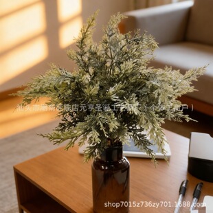 ���R�d�羳������ѩ���ָ�ܛ�z����ֲ��Gֲdiy���pe�廨