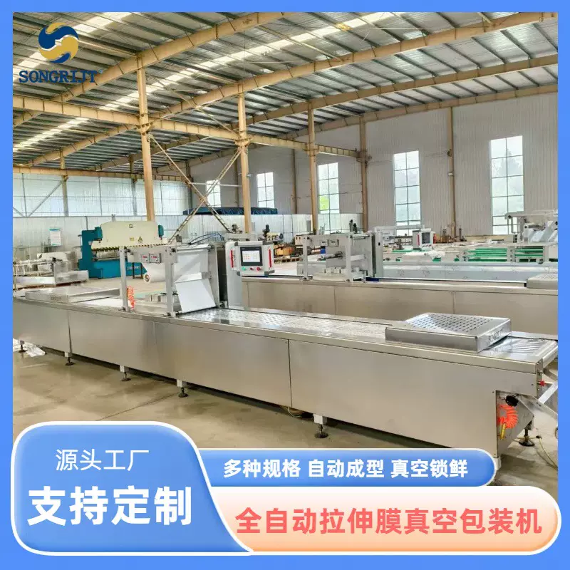 地黄真空包装机 冷面真空封口机 全自动黄精拉伸膜真空包装机械