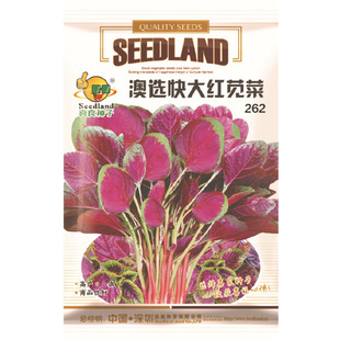 ���x���t�{��262 ������ϲ���N�����޹�˾ֱ��������ش����߲�