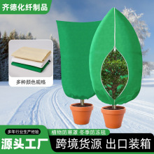 ֲ������ּӺ�ֲ�ﱣů����朳��K���m���o�ֹ������Է����ֿ羳