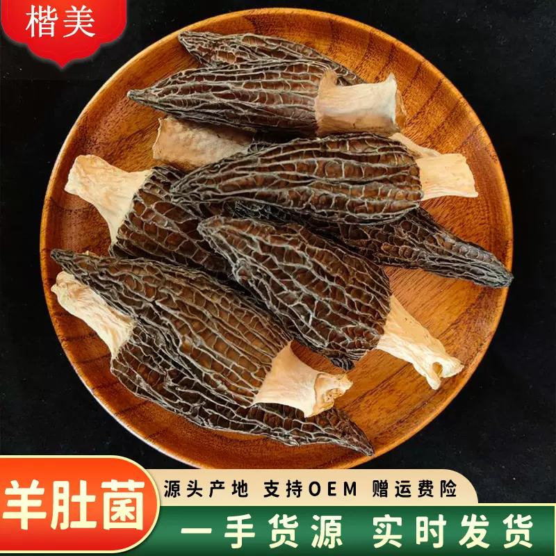 头茬羊肚菌批发云南特产菌菇干货食用菌蘑菇厚肉剪柄野生菌精选