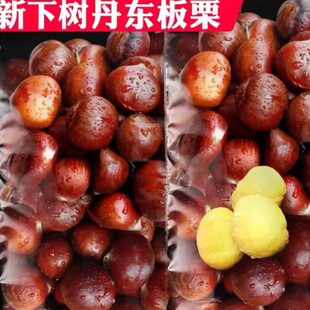 �����䡿�������r���Fժ���|����5�������Fȥë�����������_��