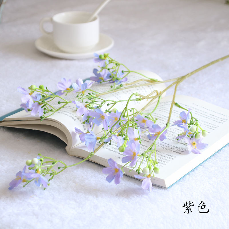 보라색