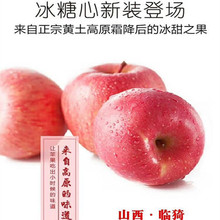 【山西临猗高原糖心丑苹果】当季脆甜可口10斤红富士新鲜水果代发
