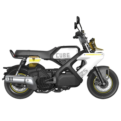 Support Export, Motosikletlər