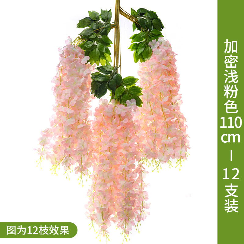 Ginger Light Powder Upgrade Encryption 12 Branches