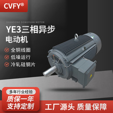 三相异步电动机 YE3-315L1/L2-10极电机 75/90KW 600r/min 380V
