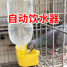 �����ˮ�����\���С�B�ˮ�W�^ʳ���ˮ����һ�����Ԅ��Bֳˮ��