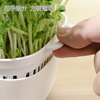 YAMADA Soilless Cultivation Hydroponic Vegetable Soybean Sprout Starter Pot Sprout Vegetable Seedling Raising Tray Planting Sprout Cultivator