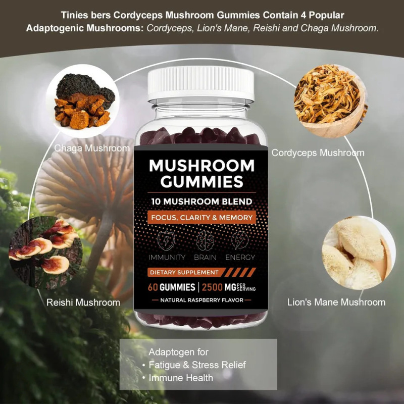 Mushroom Cummies 3-in-1 栄養補助食品 クロスボーダー在庫|undefined