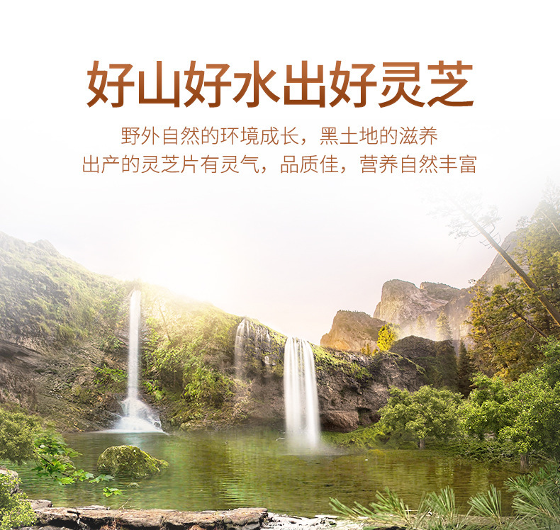Dried Reishi Mushroom Slices Ling Zhi 200g Box Northeast China Ganoderma lucidum key features