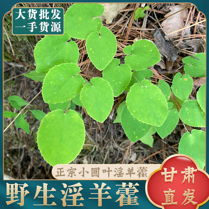 甘肃野生淫羊藿叶批发仙灵脾泡水泡茶小圆叶淫羊藿中药材500g新货