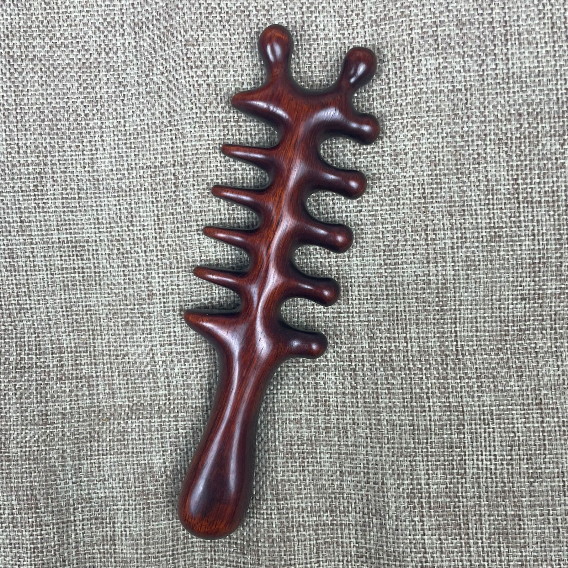 QQ图片20240321200605