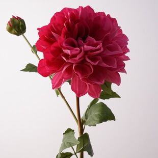 ��Ʒ�|�ָб��������2�^����ɏ��֦���滨 �Ҿ��b�c�쾰�zӰ