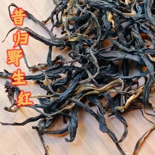 2026���R�����w��^Ұ����t�Ř��t��ɽҰ�m����ϲ��~���l500