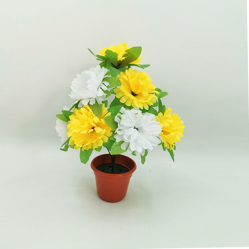 7-head chrysanthemum with leaves (yellow and white) 1 branch - 1 branch + flowerpot quality choice