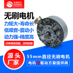 55mmクロスボーダーdcブラシレスモーター远心分离机ブラシレスdcモーターマイクロ低騒音ハイエンドアウターローター