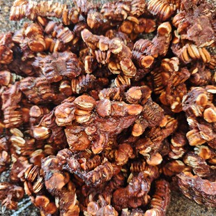 ��ș���_�h��о�_�h�����_�h���ʲ�͜�Óˮ�_�h����