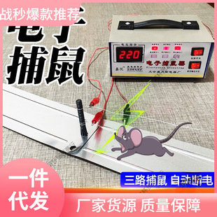 ����������ճ���������������C���������������r�岶��\ճ���