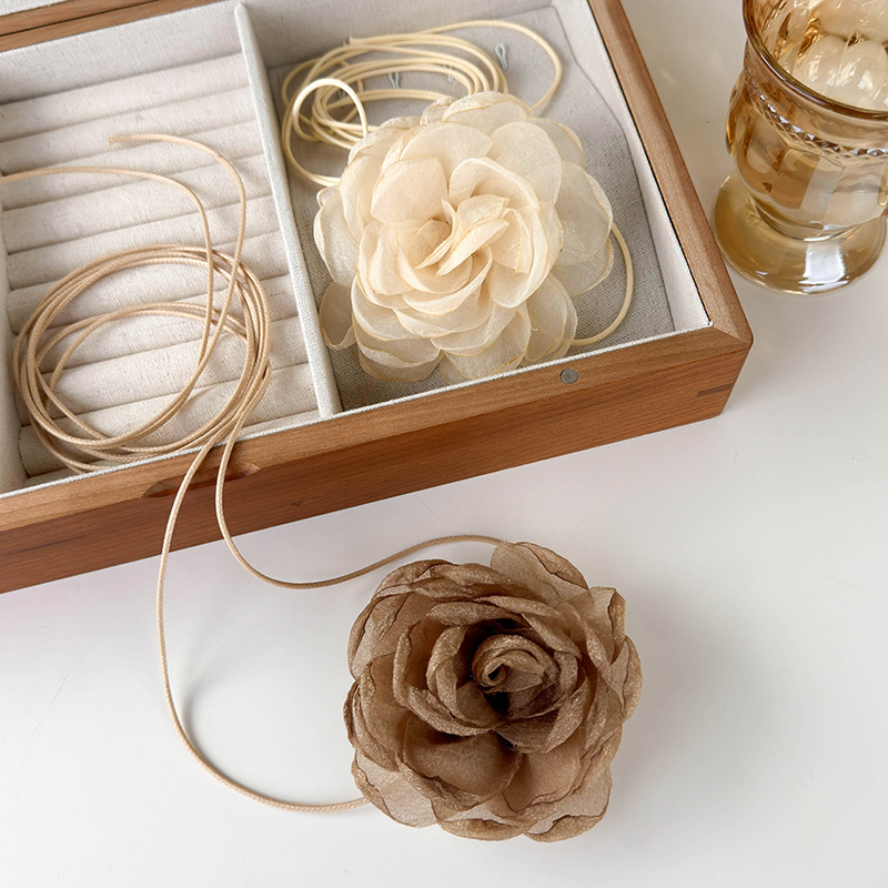 2024_02_26_17_32_IMG_9706