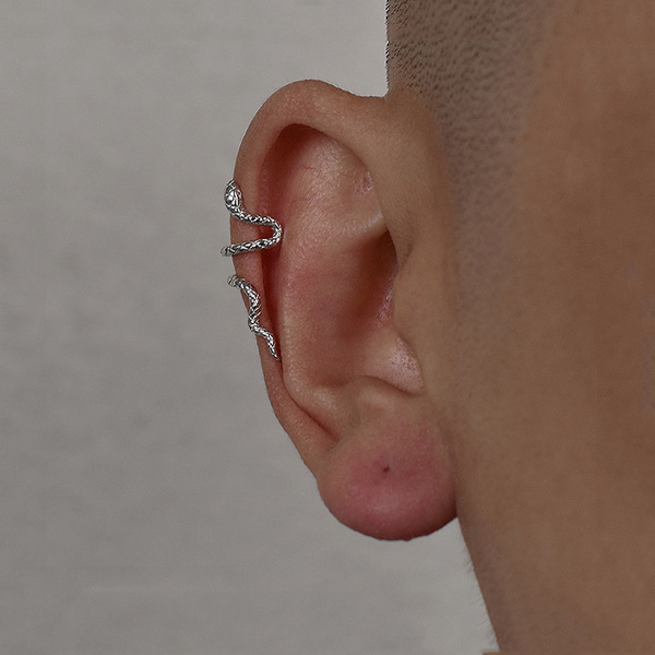 Ear clips